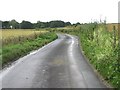 View along Crooked S Road towards Ripple in CT14 9JH