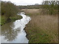 The River Beam flowing through The Chase Nature Reserve in RM7 0SS
