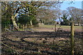 Edge of field beside Rollestone Road in SO45 2FH