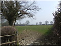 Across fields to Bythel in HR3 6JX