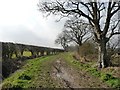 Public footpath heading west to Bessingby in YO16 4RH