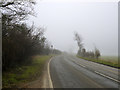 Misty morning on B579 in LU4 9UQ