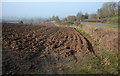 Ploughed field near Bawdrip in TA7 8QE