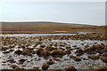 Head of the Norwick mires, beside Northdale in ZE2 9ED