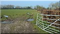 Field on Huntspill Moor in TA9 3PH