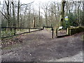 Track (footpath) into Wheata Wood in S35 8RS