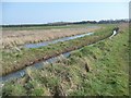 Drain and waterlogged farmland, south of Bessingby Beck in YO15 3PA