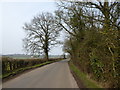 Road alongside Whitley Brake in SN11 9HD