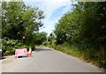 Traffic control on a minor road south of Magor in NP26 3LY
