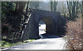 Railway Bridge, Clyne in SA11 4ES