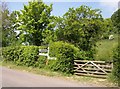 Road junction south of Cadbury Castle in BA22 7HG
