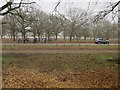 Cyclists in Richmond Park in TW10 7AW