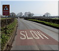 REDUCE SPEED NOW sign alongside the B4348 near Allensmore, Herefordshire in HR2 9AN