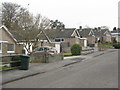 Bungalows on Askew Grove in Repton