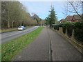 Cycle path by Dussindale Drive in NR7 0RX