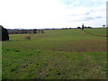 Fields off of Whitlenge lane, Hartlebury in DY10 4HD