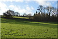 Grazing land in the Nidd Valley in HG3 4BG