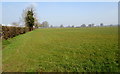 Herefordshire field at the eastern edge of Allensmore Nurseries in HR2 9AN