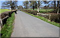 Stone walls of a road bridge over a brook, St Devereux, Herefordshire in HR2 9DF