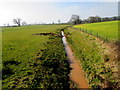 Unnamed brook, St Devereux, Herefordshire in HR2 9DF