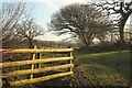 Near Leworthy Farm in EX22 6SJ