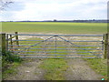 Gate to large field on Lowfield Heath Road in RH6 0BY