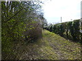 Sussex Border path heading south west beside Horley Road in RH6 0BJ