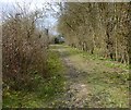 Track from the River Mole to Horley Road in RH6 0BJ