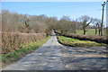 Lane towards Pyworthy in EX22 6SP