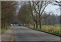 Road next to Nottingham Racecourse in NG3 7FY