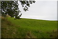 Pasture off Bonsall Lane in Bonsall & Winster Ward