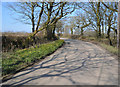Lane to Thorndon Cross in EX22 6SJ