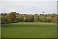 Field in the Frome Valley in BA11 5EL