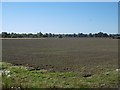 Arable land near Seaton Burn in Brunswick