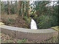 Minor stream at Bradwall Green in CW11 1RH