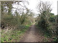 Footpath near Washford in TA23 0QB