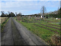 Allotments, Great Shelford in CB22 5JQ