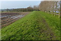 Farmland next to Stoke Lane and the River Trent in Trent Valley Ward