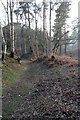 Track on Sandy Warren in SG19 2DA