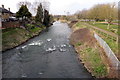 River Ivel at Biggleswade in SG18 0NA