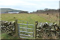Footpath to Brighouse Bay in DG6 4TS