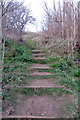 Steps up to the Pinnacle in SG19 1EZ