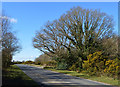 Rural road, Greenham Common, Berkshire in RG19 6HD