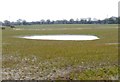 Pond at Breach House Farm in WA16 7NX