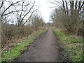 The Trans Pennine / Dove Valley Trail, heading west in S75 3DR