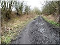 Tracks of users on the Trans Pennine/ Dove Valley Trail in S75 3DR