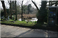 Pond and phone in Gresham in Gresham