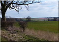 Farmland north of the village of Lyndon in Lyndon
