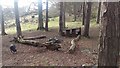 Unexpected picnic site in IV3 8NW