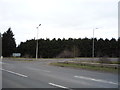 Woodland beside the A14 slip road in CB8 7LH
